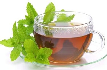 شاي نعناع